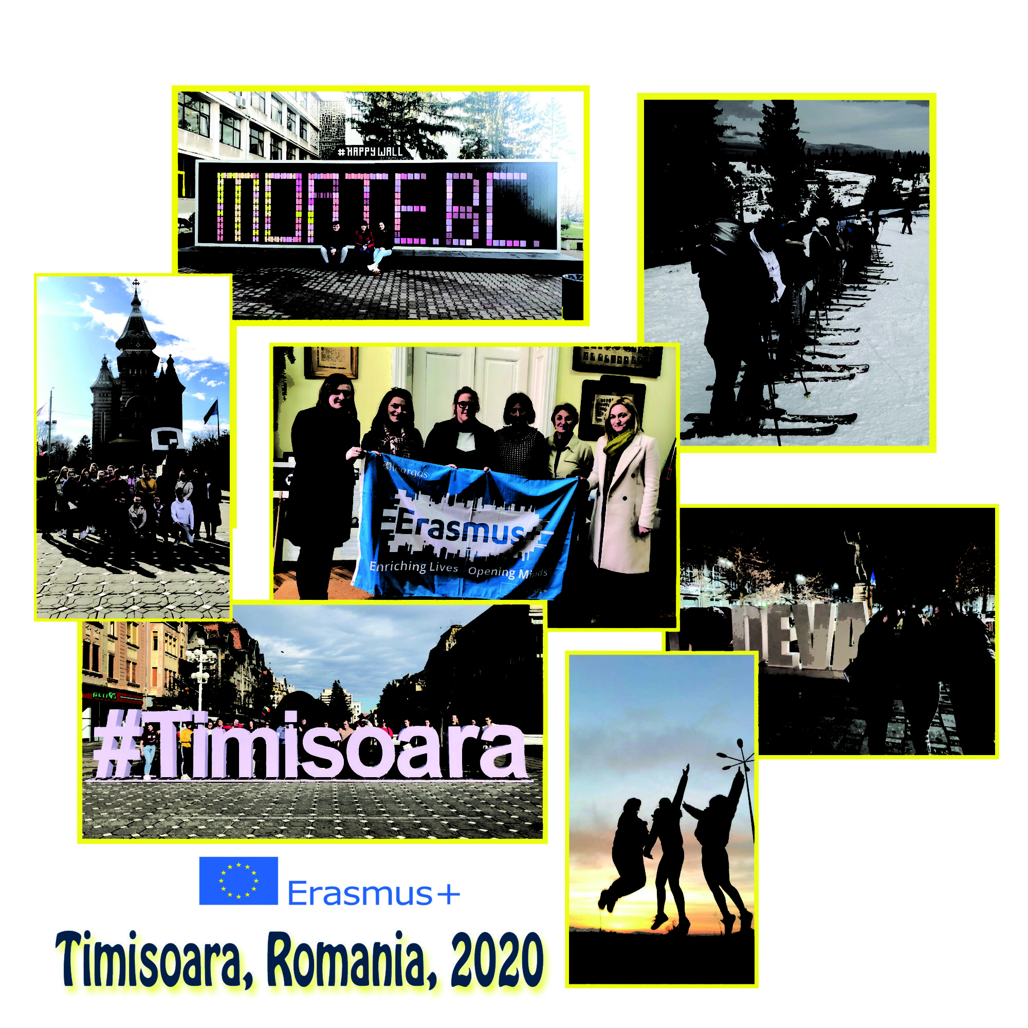 Timisoara Collage